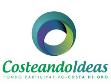 COSTEANDO IDEAS 2021